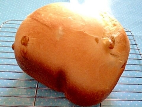 T-FALホームベーカリーで作るレーズン食パン